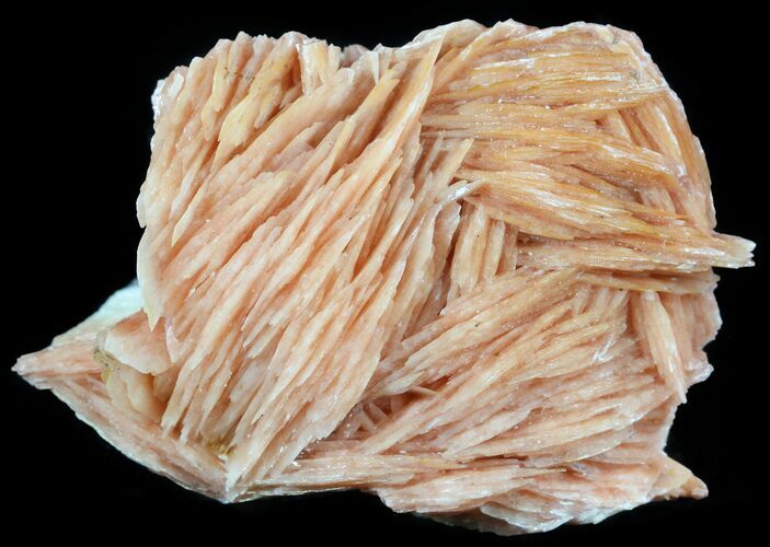 Pink Bladed Barite - Mibladen, Morocco #51473